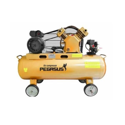 Máy Nén Khí Dây Đai Pegasus TM-V-0.25/8-120L