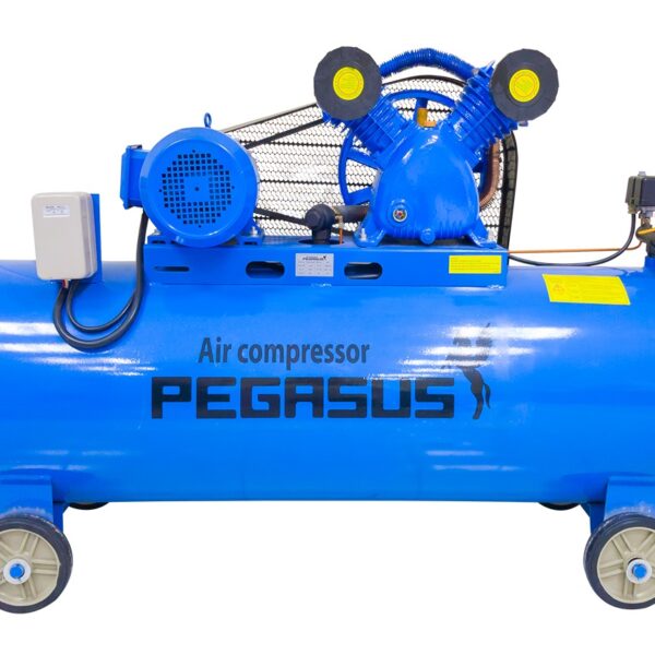 Máy Nén Khí Dây Đai Pegasus TM-V-0.25/8-70L